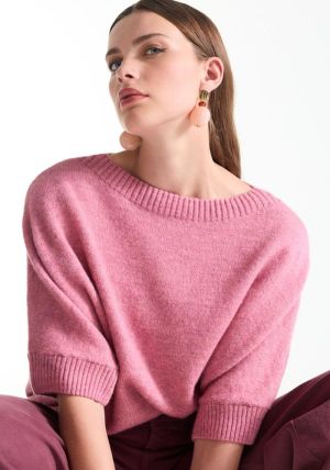DACOTA Rose