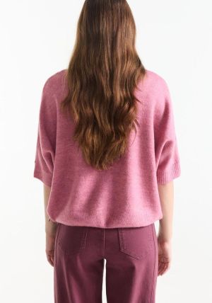 DACOTA Rose