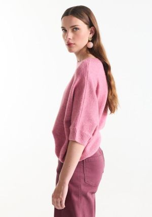 DACOTA Rose