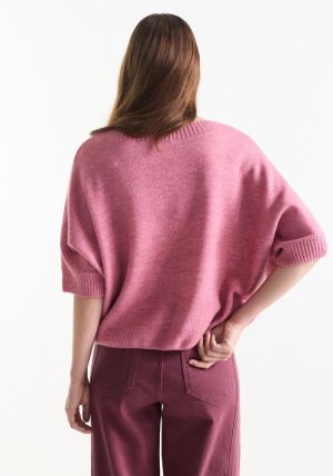 DACOTA Rose