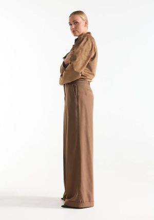 DIAN Camel