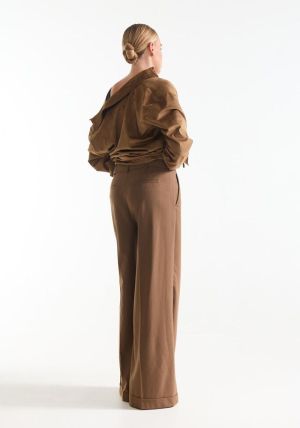 DIAN Camel